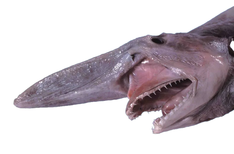 goblin