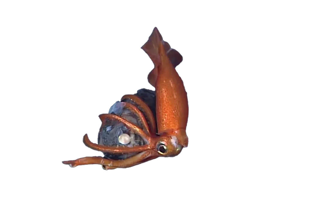 prehrana