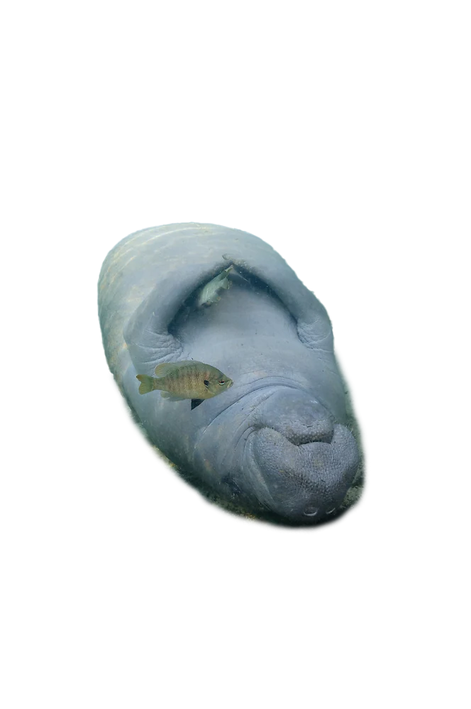 Štedljivost